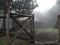 fugio Saletti-20101010 088